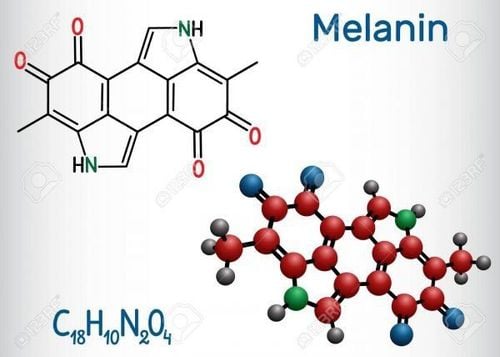 Thông thường tóc bắt đầu bạc khi việc sản xuất ra hắc sắc tố melanin bị ngưng trệ hoặc rối loạn