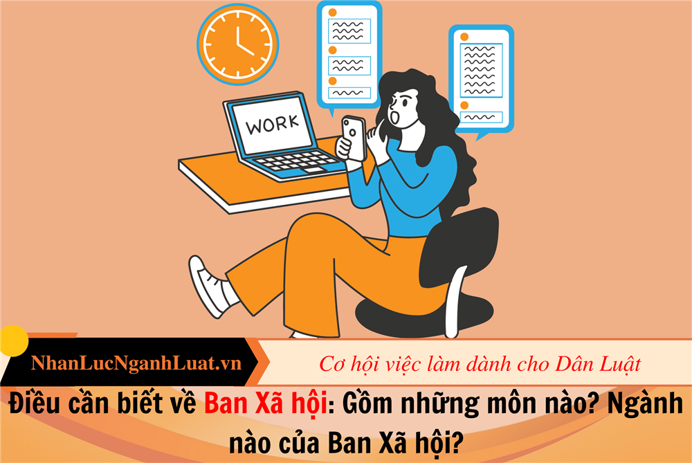 Điều cần biết về Ban Xã hội: Gồm những môn nào? Ngành nào của Ban Xã hội?